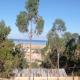 La Esperanza Carabuco, Carabuco - 写真 3