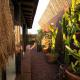 Rooftop Glass House in Old Town, Oaxaca (fotografie 2)