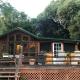 Stargazer Chalet, two bedroom with WiFi, Three Rivers (fotografie 10)