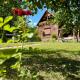 Cabana Oana 5-bedrooms chalet, Arad - Fotografie 10