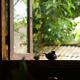 Bluebird - Cozy Indigo Home
