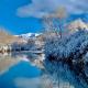 Peace Cottages Pangong Ladakh by LexStays, Merak - Foto 6