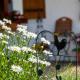 Haus der Berge Ferienwohnung, Ramsau - Foto 6