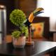 The Toucan Nest - AC, Gated & Pool, Fortuna - Fotografie 6