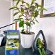 Takanini Park Motor Lodge, Auckland - Fotografie 4