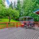 Private park in a cozy home next to I-90 huge yard, Mercer Island - Fotografie 7