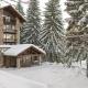 Ana Hotels Bradul Poiana Brasov, ポイアナ・ブラショフ - 写真 3