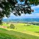 Ferienwohnung Wolkenfrei mit Pool und Sauna, Scheidegg - Foto 6