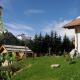 Design Chalet Zirm - check-in at Olympia Hotel, Varda (fotografie 7)