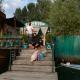 Green view group of houseboats, シュリーナガル - 写真 2