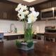 Two bedroom suite in Hollywood!, Los Angeles - Foto 9