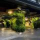 Continew Residence by Janice's Homestay, Kuala Lumpur - Fotografie 8