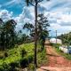 Mercs Bungalow, Bandarawela (fotografie 7)