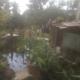 biofarma, Chrudim (foto 10)