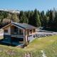 Almchalet - Luxus am Fuße der Koralpe, Goding