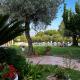 Tenuta Paino, Sessa Aurunca (fotografie 3)