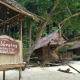 Wobbegong Homestay
