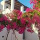 Marousω's Μaisonette, Prodromos Paros