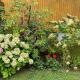 Marinela's BnB, Vienna - Foto 5