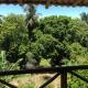 Casa da mata- Vista linda pra mata e jardim privativo, Mata de Sao Joao - Fotografie 3