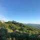 La Casa Di Lidia, Cardile (Foto 7)