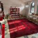 Villa Massa - Dimora storica con 12 camere, accoglie 30 persone, Calice Ligure (fotografie 8)