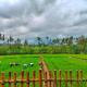 Sawah Ijen, Licin (фото 6)