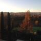 La Vedetta Bed and Breakfast, Castelvetro di Modena (fotografie 6)