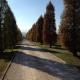 La Vedetta Bed and Breakfast, Castelvetro di Modena (fotografie 8)