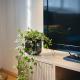 Boho Apartment in Old Town, Bratislava - Photo 9