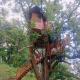 Mekkarai Tree House, Puliyara - Foto 1
