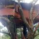 Mekkarai Tree House, Puliyara - Foto 7