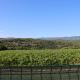 Les Vignes du Luberon, Saignon (fotografie 2)