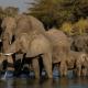 Zambezi Dusk, Livingstone (photo 3)