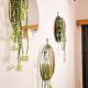 Explore Nature House, Panayia (photo 7)