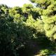 Miliannas, Athen - Foto 4