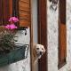 Holiday home in Tiarno di Sotto 23505, Tiarno di Sotto (photo 7)