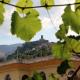 Margarita - Entire house with 4 bedrooms and free parking, Gjirokastra (foto 3)