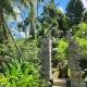 Sacred River & Jungle Villa Ubud - Photo 3
