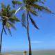 Sea Sand Resort, Kalpitiya (fotografie 4)