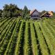 SCHILCHERLANDLEBEN - Weingartenhaus, Sankt Stefan ob Stainz (fotografie 3)