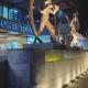 Bohemian Moderns Style Living- Free Pool- Pet Friendly, Manila - Fotografie 10