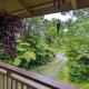 Local Living in Volcano Hawaii Breeze&5 mins to Volcano National Park - Fotografie 8