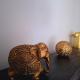 Appartement Pamplemousses, Plaine des Papayes (Foto 9)