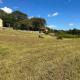 Historic Farm on 96 Acres!, Avery Corner (fotografie 2)