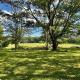 Historic Farm on 96 Acres!, Avery Corner (fotografie 9)