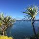 Private 1 bedroom with amazing sea views Lower Hutt - Fotografie 2