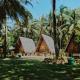 Bunga Jabe, Karimunjawa