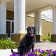 Homewood Suites by Hilton Erie, Erie (fotografie 2)