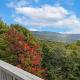 Wishlist Beech Mountain - Fotografie 3